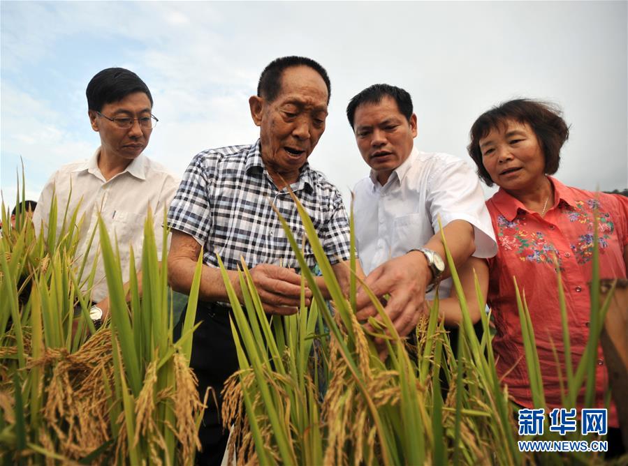“心有大我，至诚报国”——知识分子的时代答卷