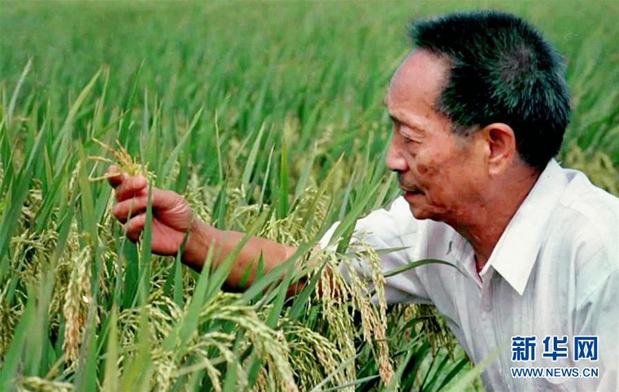 “心有大我，至诚报国”——知识分子的时代答卷
