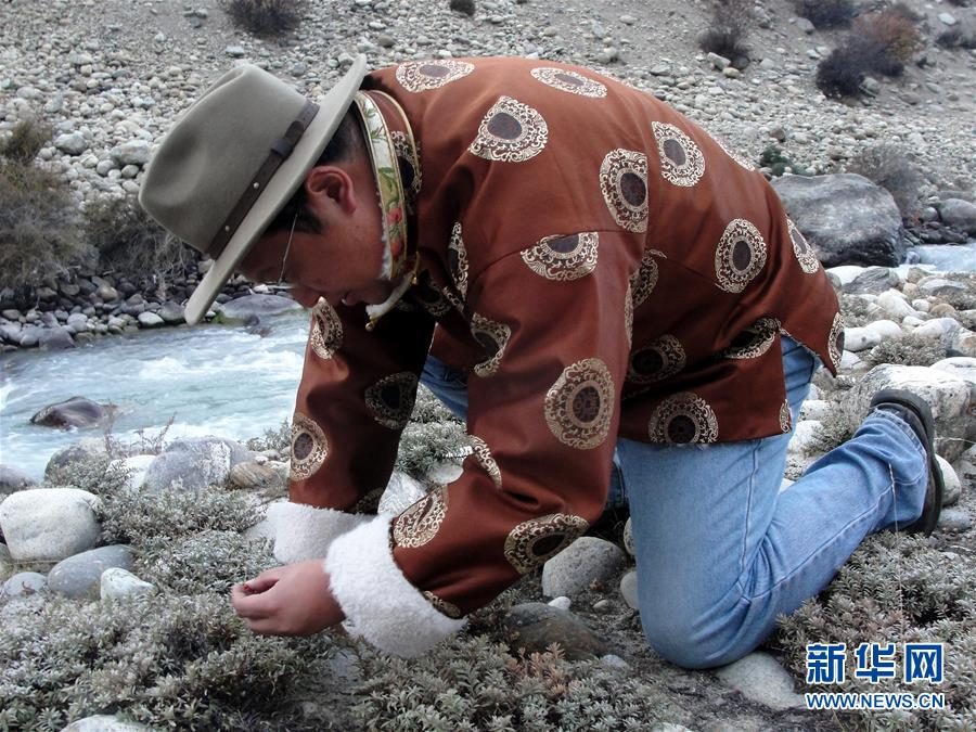 “心有大我，至诚报国”——知识分子的时代答卷