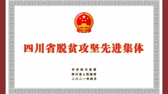 四川省脱贫攻坚先进集体