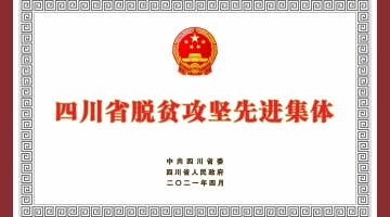 四川省脱贫攻坚先进集体